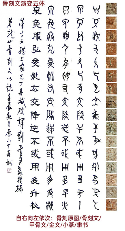 ǿ룺Ž𶰵ά֮  